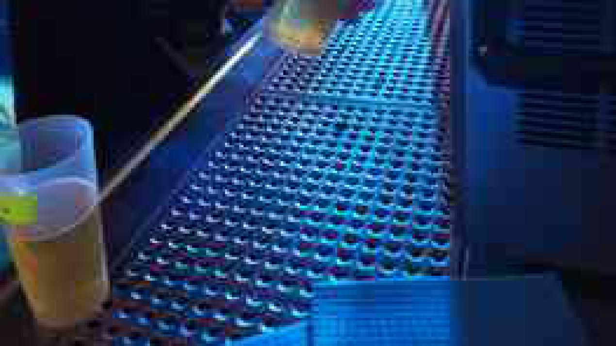 Unity Vorverkauf gestartet