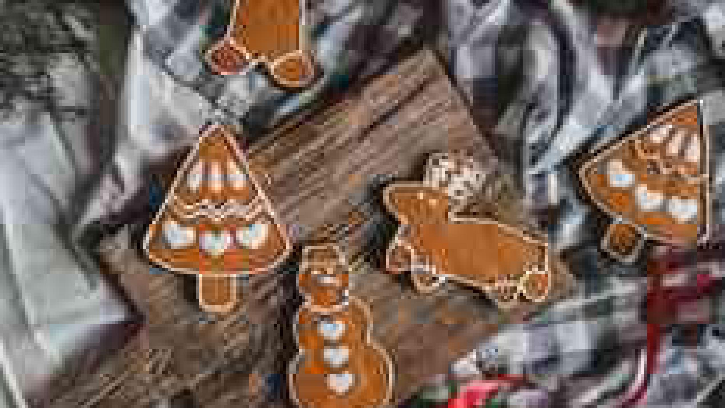 Rätseladventskalender - Gewinner und Lösungen