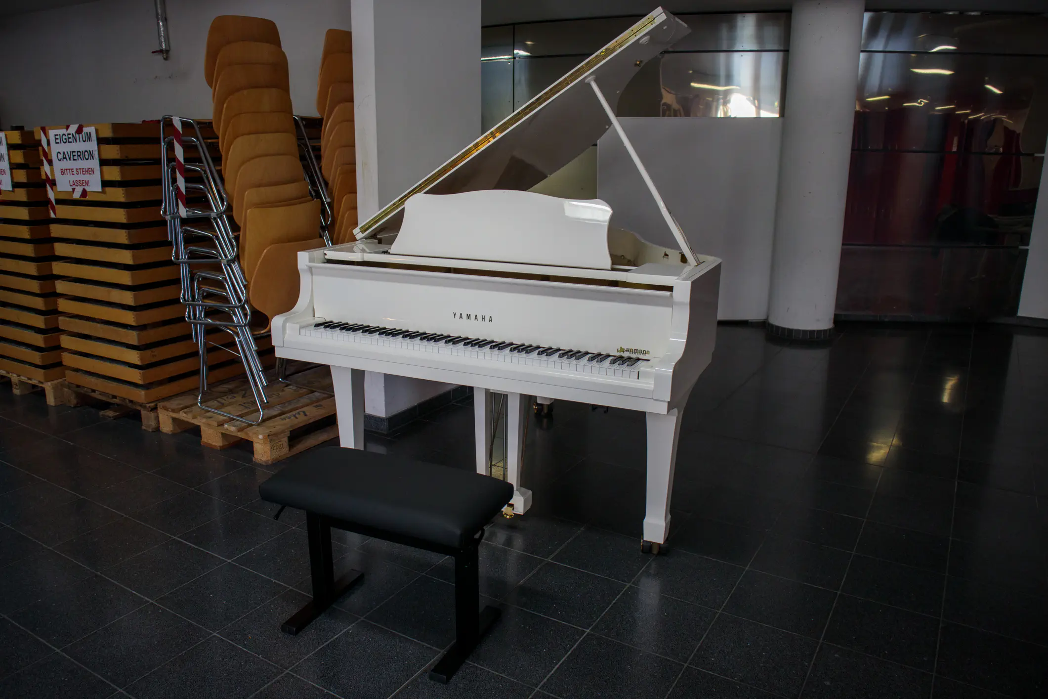 grand piano which we lend access to you